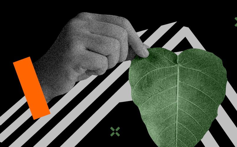 Schwarz-weißes Bild einer Hand, die ein grünes Blatt hält vor einem schwarzen Hintergund mit gezackten weißen Streifen, symbolisch für Nachhaltigkeit